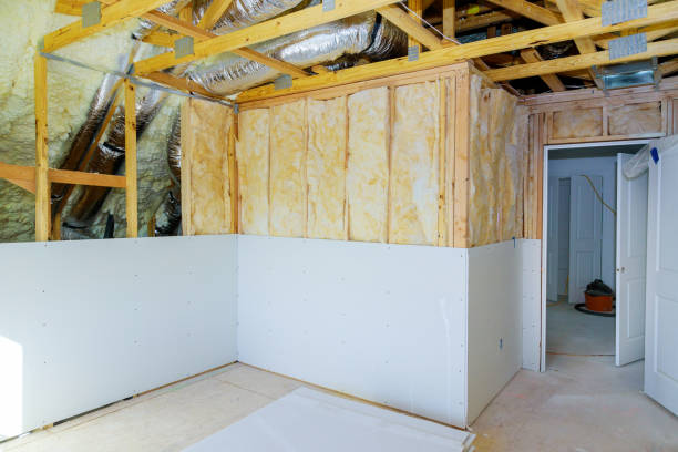 Best Basement Insulation  in , MS